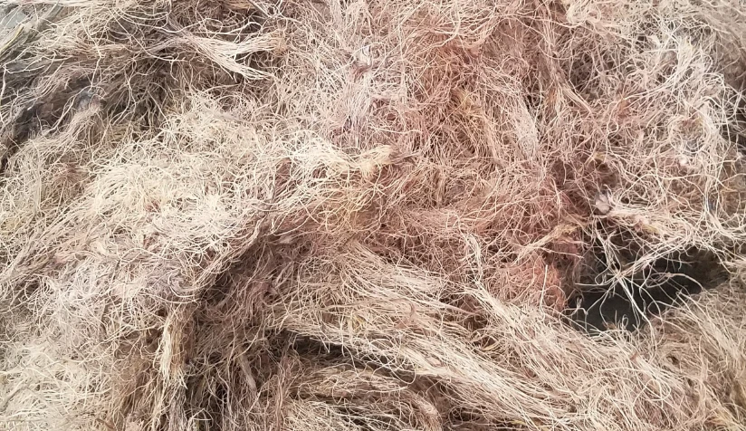fibra kelapa