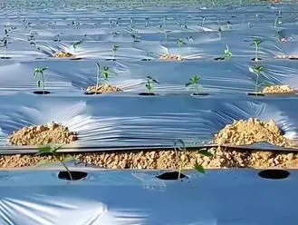 Pilmik ng agrikultura